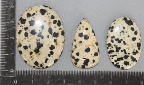 Lot de pierres cabochon  Jaspe Dalmatien