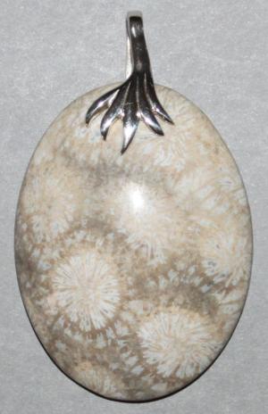 Pendentif Corail fossile 18.8 gr x 0.65 €/gr  